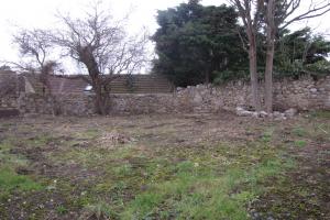 Before - rear garden from project Large Garden in Dalkey, Co. Dublin