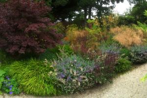 Rear garden from project Large Garden in Dalkey, Co. Dublin