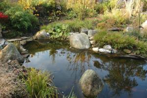 View 17 from project Leafy Garden With Water Feature in Rush