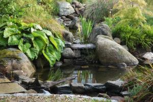 View 8 from project Leafy Garden With Water Feature in Rush