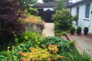 Rear garden from project Large Garden in Dalkey, Co. Dublin