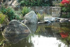 View 14 from project Leafy Garden With Water Feature in Rush